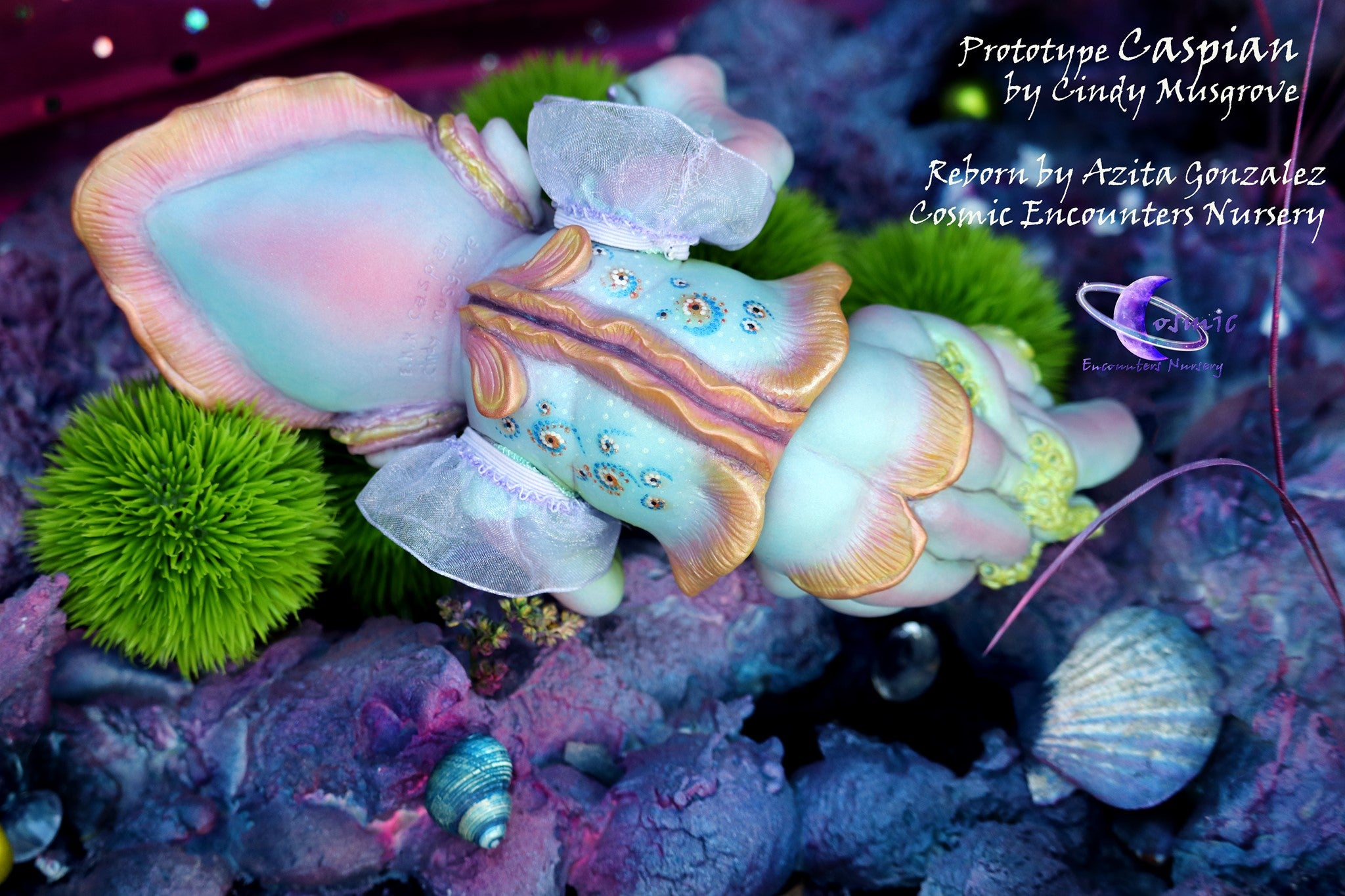 Squidling Caspian Squidling – Enchanted Kreature Kits