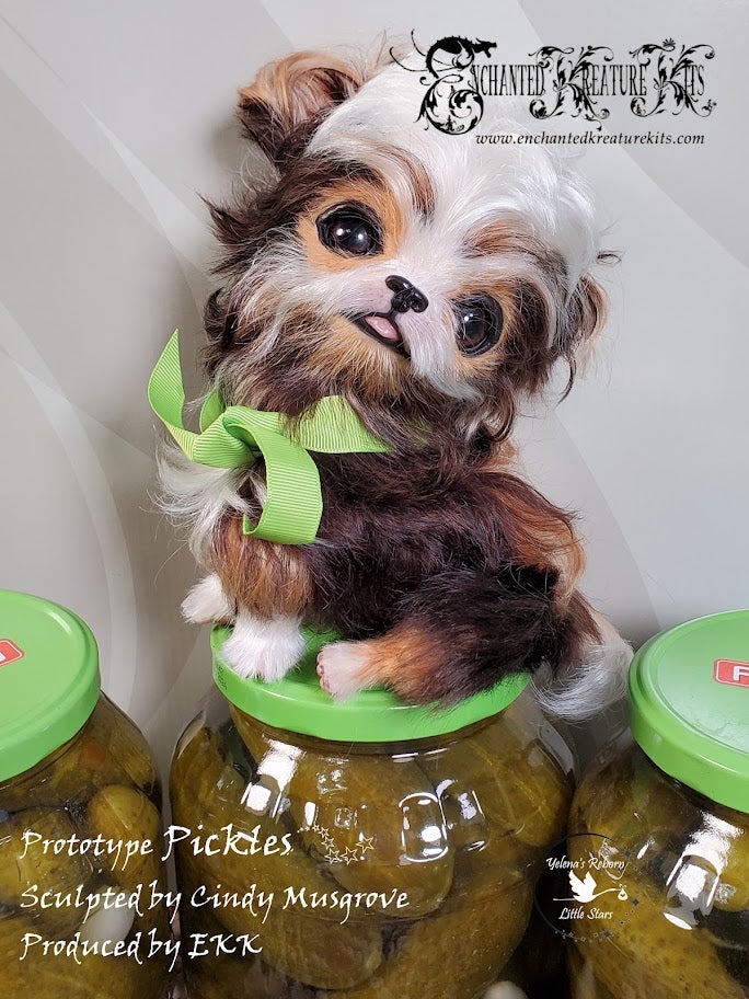 Pickles Sitting In Stock Now – Enchanted Kreature Kits